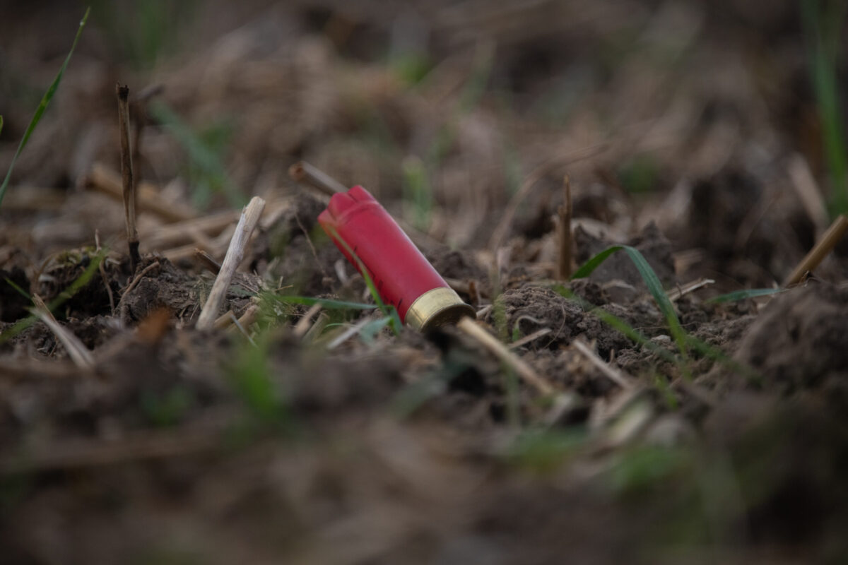 Trap oder Skeet Munition für Krähen?
