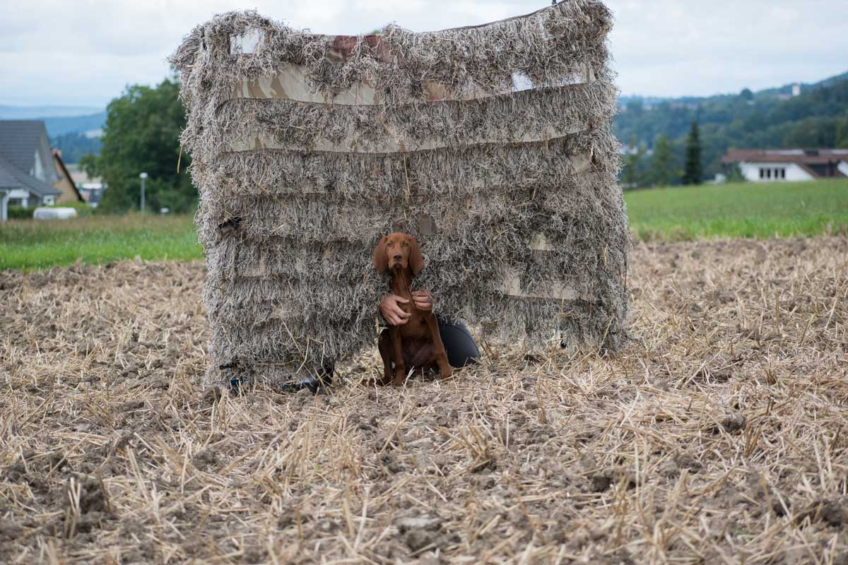 Tarnschirm selber bauen