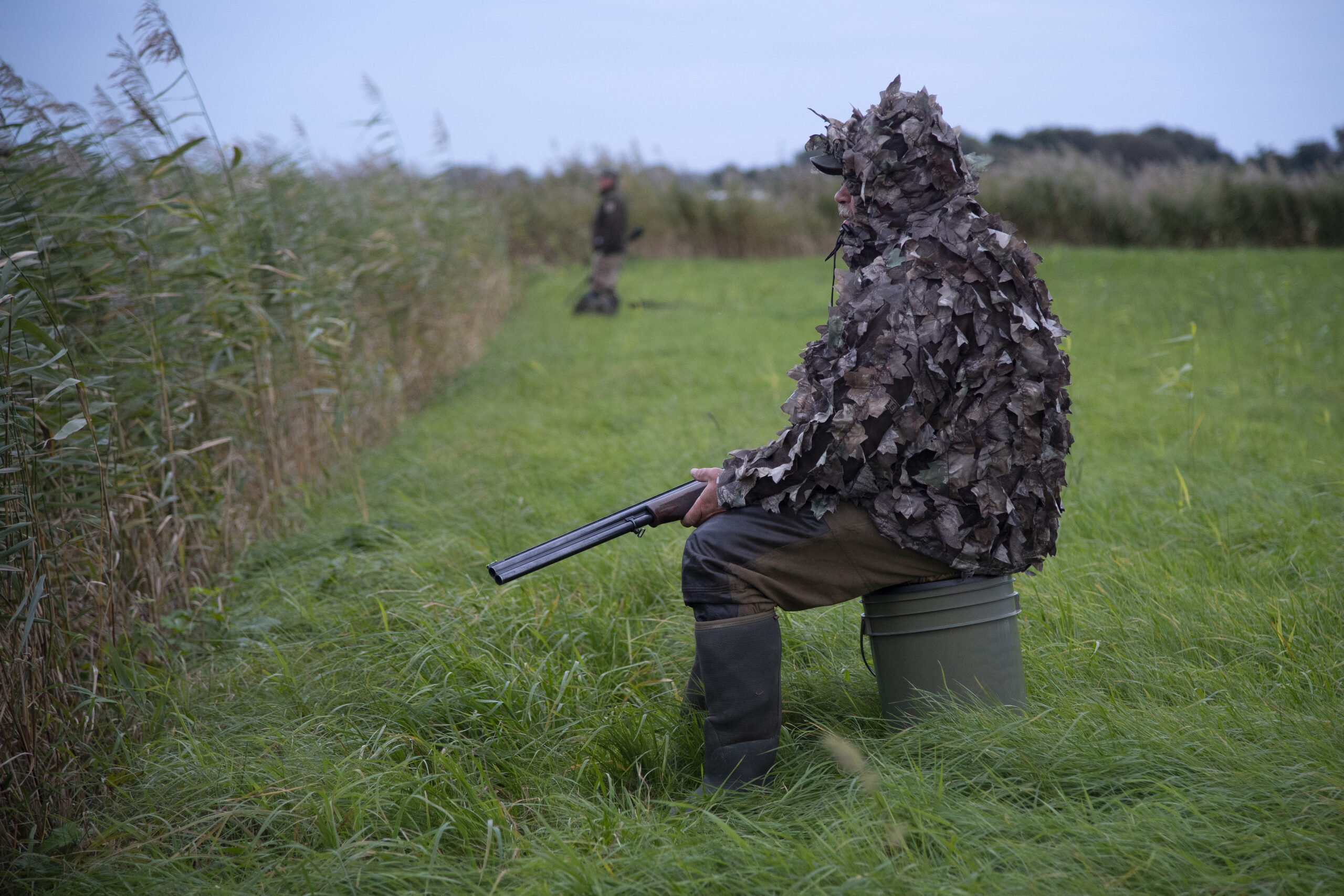 Entenjagd Bilder Jagdfoto
